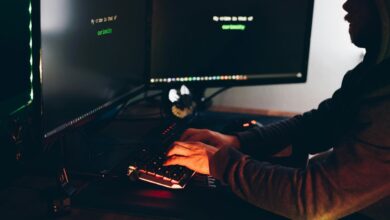 digital fraud detection numbers