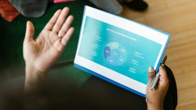 executive data overview summary