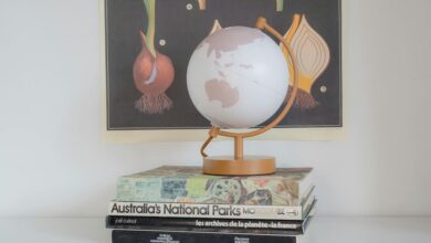 global operations insight analysis