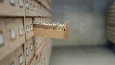 business systems intelligence assessment